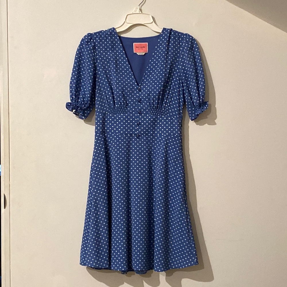 Kate Spade Tea Garden Dot Dress size 2.